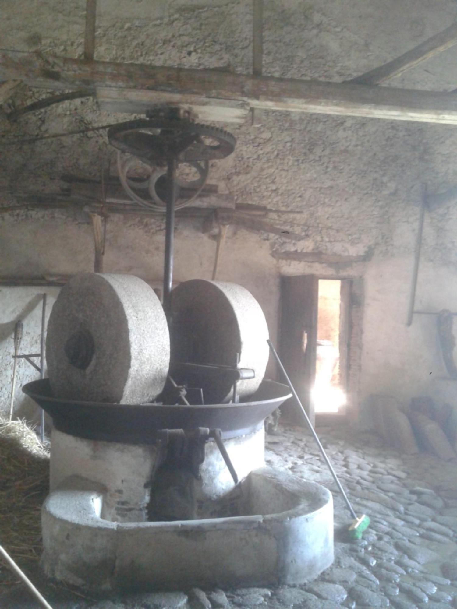 Agriturismo Frantoio Mafrica Limbadi 외부 사진