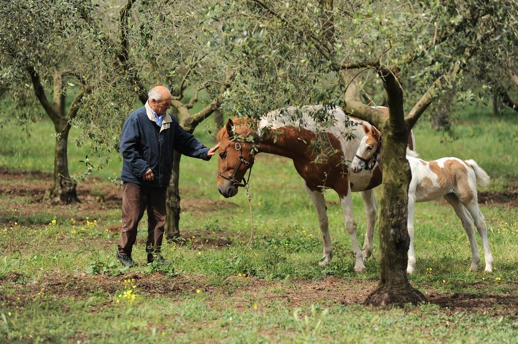 Agriturismo Frantoio Mafrica Limbadi 외부 사진